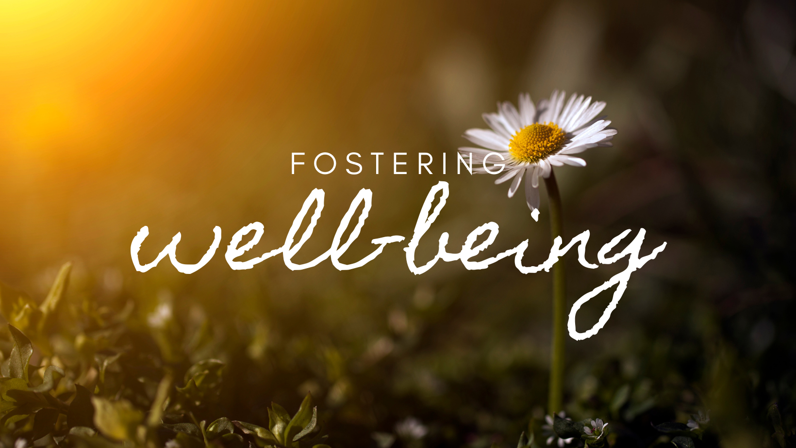 Two Stress Management Tips & A Rush Hour Ride with Buddha